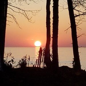 Meet your Posher, Edward